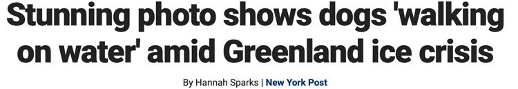 greenland_crisis_fox