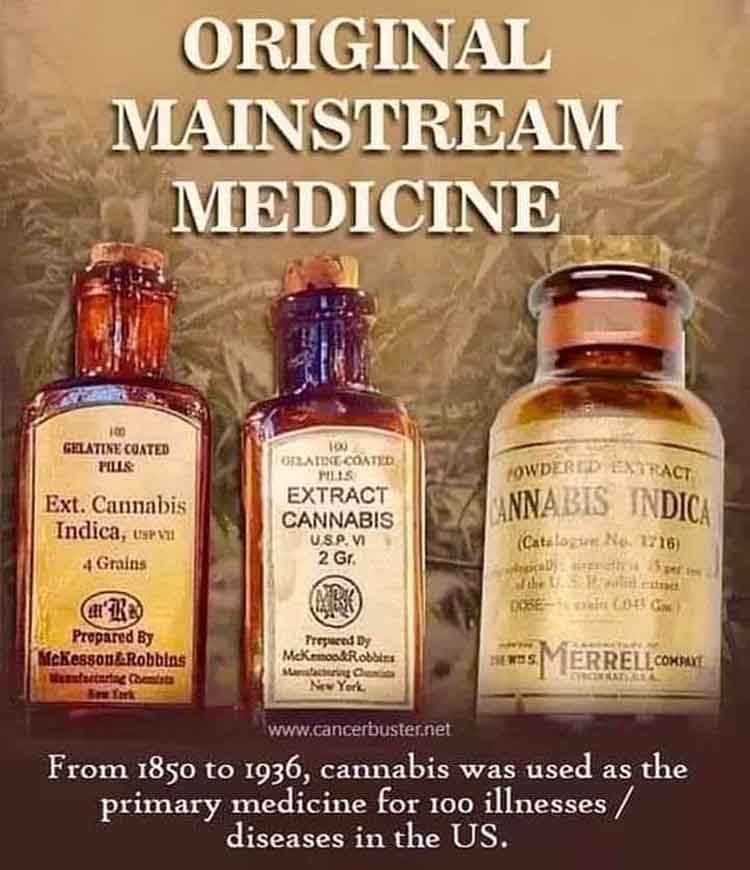 cannabis_med.jpg