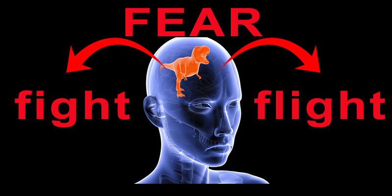 Our Lizard Brain sense FEAR and instructs us to Fight or Flight