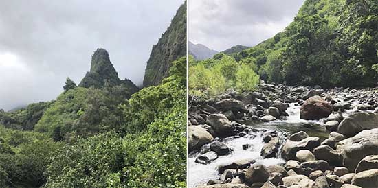 The streams of Iao Valley blocked by bodies of dead Hawaiians
