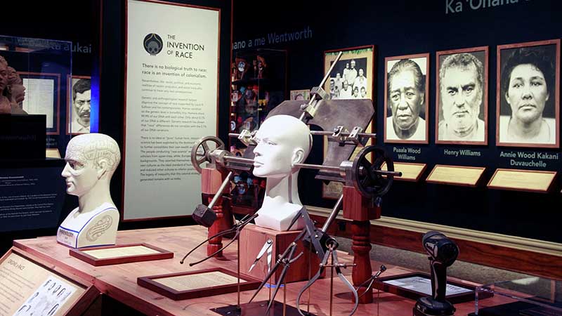 The Bishop Museum faced its role in promoting racism at a “(Re)generations” exhibit last year. It displayed the different tools used in the pseudosciences of phrenology and anthropometry, as well as some photos and busts from Sullivan’s collection.