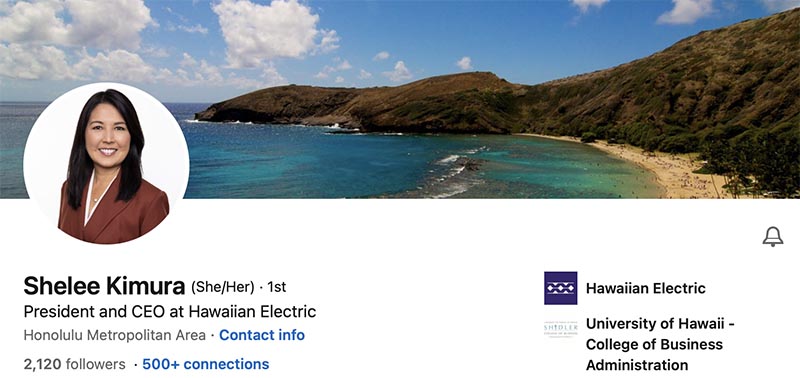 CEO Shelee Did Not Need to Force This Increase on Local Families. Why Then Did This Kind, Compassionate Asian American Woman Punish Ratepayers?