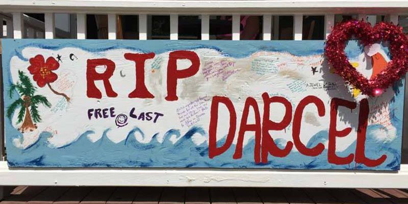 Hanalei Community was shattered February 2015 with the unexpected death of Darcel Koehne: our angel