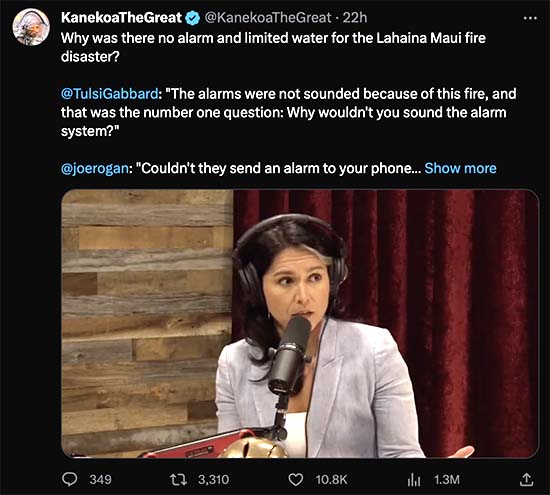"That is such bullshit," reported Tulsi Gabbard, former U.S Representative (D) and presidential candidate. 