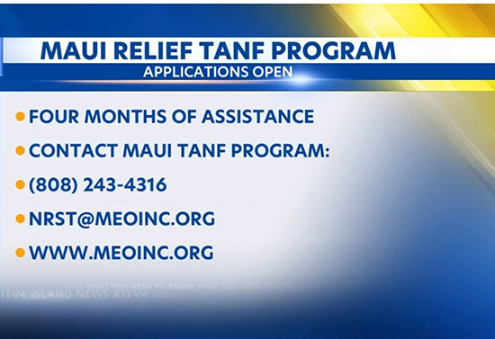 Maui Relief TANF Program