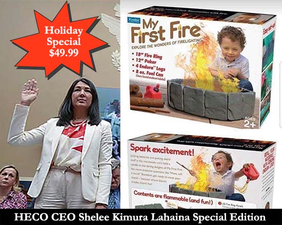 Shelee Kimura was a diversity appointment. Go Woke! Kill at least 100; destroy historic Lahaina town.