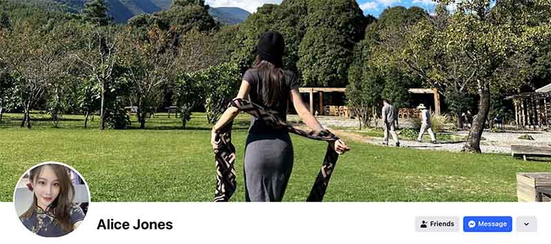 Jiali Ouyang, AKA Alice Jones, participates in a cybercurrency PONZI scheme