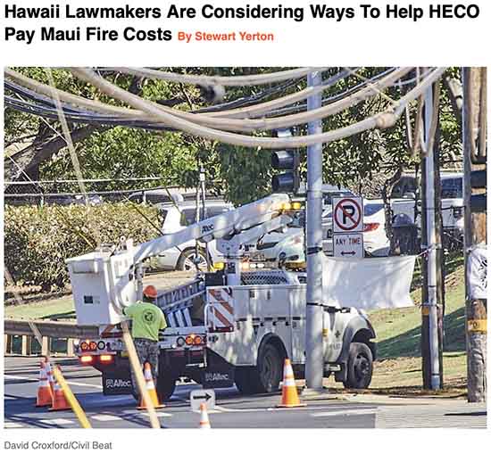 HECO CEO Shelee Kimura refuses to accept responsibility for the deaths of at least 100 human beings. Now wants ratepayers to bail out the company. 