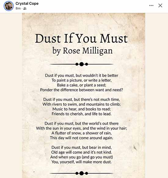Dust if you must by Rose Milligan