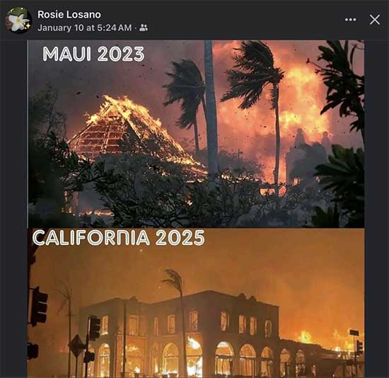 Rosie Losano compares Lahaina wildfires to LA fires