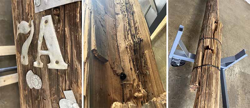Lawyers for fire victims and insurers point to Utility Pole 7A as a root cause of the Lahaina wildfire. They point to termite damage in the center picture. In its report to regulators HECO says the pole was fit for service. (Courtesy of Jan Apo)