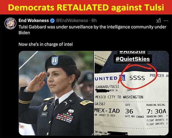 Tulsi Gabbard stood up to Democratic corruption in 2016. Democrats retaliated and pushed her out of the party. Now she's in charge of our national intelligence.