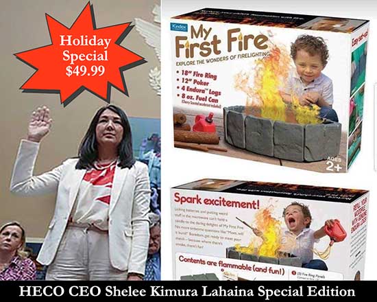 Kimura has received raises since incinerating Lahaina. No accountability in Hawai'i. 