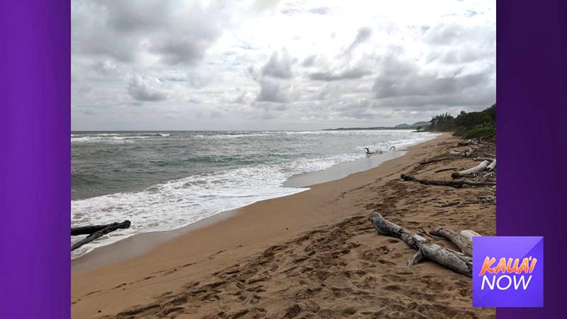 Surfrider Foundation Kauaʻi is concerned that the renewal of a permit has been recommended by the state that would allow a treatment plant to dump treated sewage about 235 yards into the ocean near Lydgate Beach Park. (File photo)