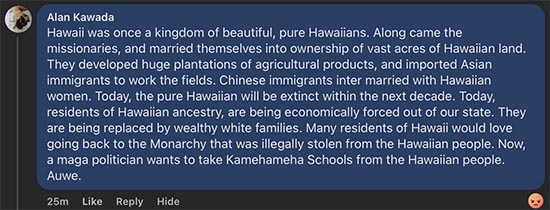 Screenshot: Alan Kawada